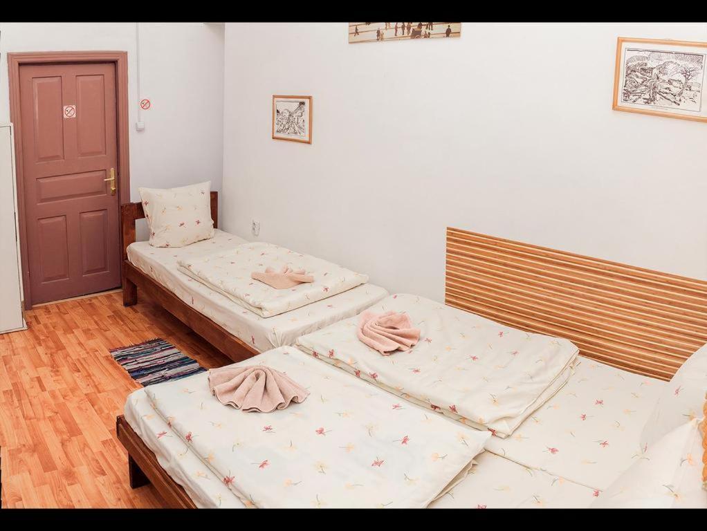Apple Hostel ลวีฟ ภายนอก รูปภาพ